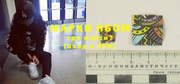 гидра Аркадак