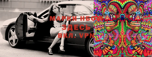 стаф Арсеньев