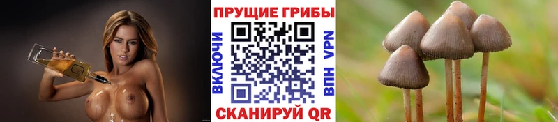 ОМГ ОМГ ССЫЛКА  Лобня  Галлюциногенные грибы Cubensis 
